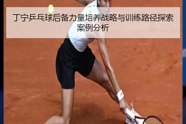 丁宁乒乓球后备力量培养战略与训练路径探索案例分析